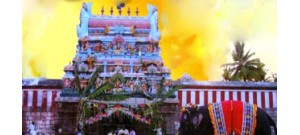 மன்னார்குடி